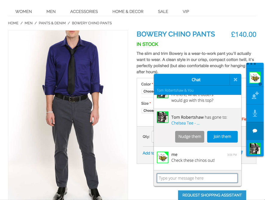 Ecommerce Shopping Assistant
